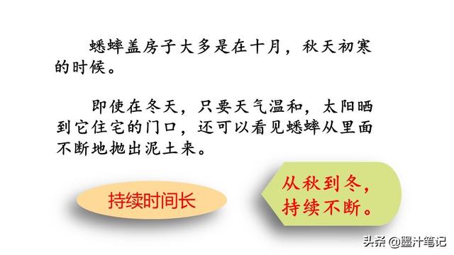 蟋蟀的住宅指的是什么，蟋蟀的住宅 是指什么（第三单元《蟋蟀的住宅》课文讲析）