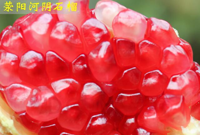 郑州特产有哪些土特产零食，郑州十大特产是什么（郑州十大名优特产）