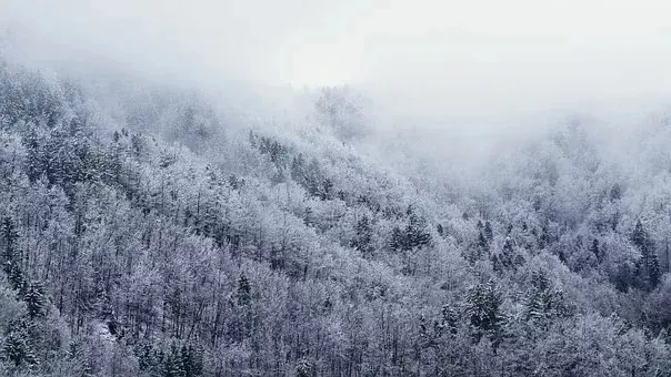 在古代可以用什么词代替雪，在古代对雪的称谓还有哪些（看看古人对雪的24种雅称）