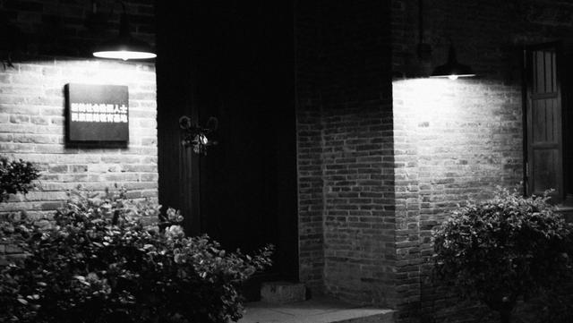 如何评价松下的GX9，松下gx9和gx10（让所见即所得：松下LUMIX）