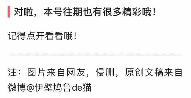 蝴蝶生活习性，蝴蝶王国（蝴蝶的生活环境和特点）