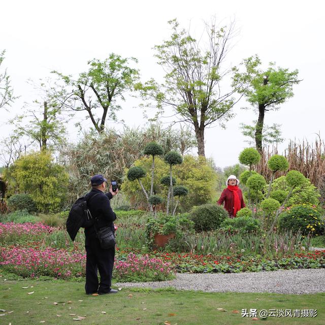 最简单能令人放松心情的图片 偶尔防空一下自己，让人心情放松的图片（醉倒在那片春色里）