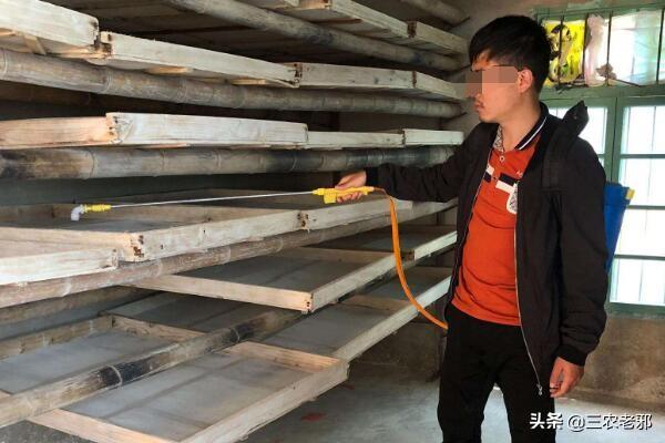 养蚕的方法和步骤，养蚕的方法（养蚕的新技术及方法）