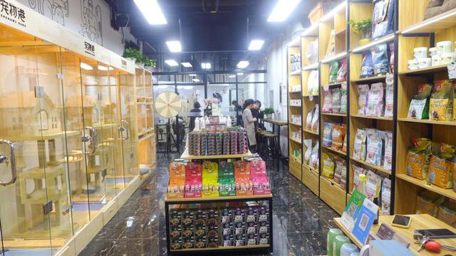简洁宠物店名字高端，简洁宠物店名字高端可爱（发现一家有爱又上档次的宠物店）