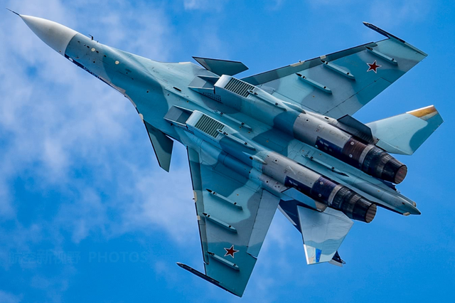 什么是侧卫家族，什么是侧卫家族族谱（到底哪家苏30最强）