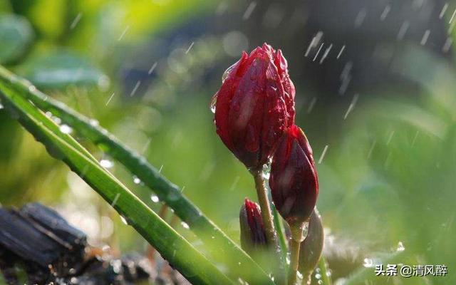 十八岁生日文案，给自己十八岁的生日祝福文案句子简短（18岁生日说说 简短有个性）