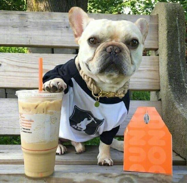 逗比有趣的朋友圈说说，逗比盆友圈说说（逗趣搞笑的朋友圈说说）