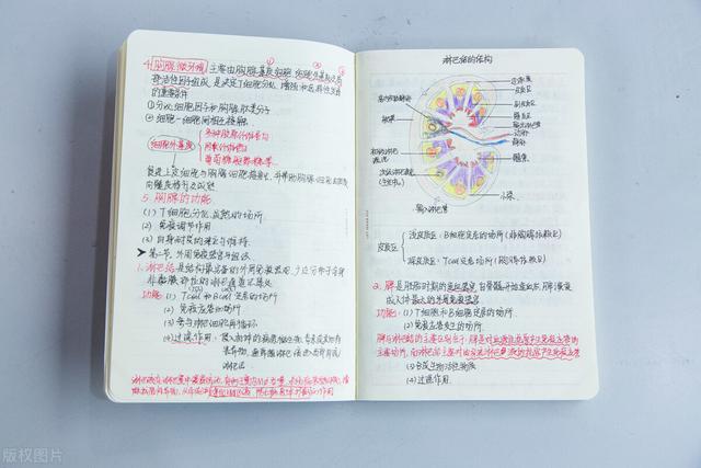 如何高效的学习，如何提高学习效率（分享3个高效学习方法）