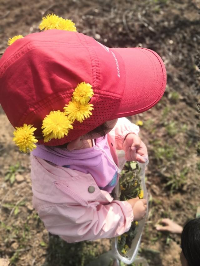 审核员报考条件，国家注册审核员做什么的（管理体系认证审核员是一种什么职业）