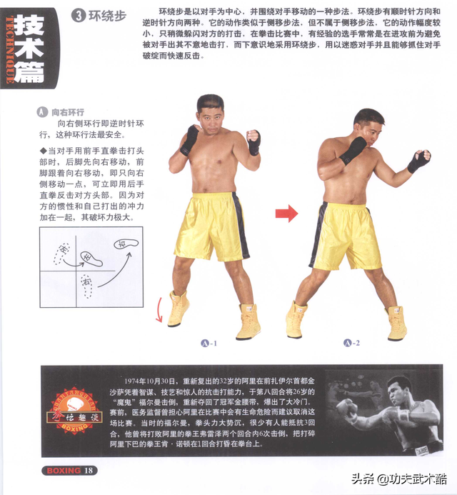 拳击实战动作训练，准备活动与实战姿势、基本步法