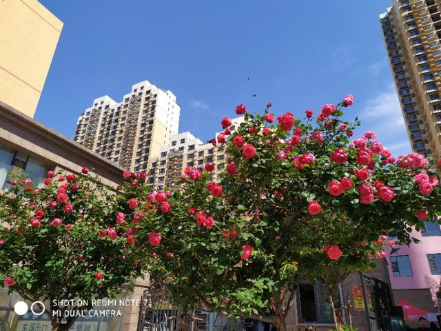 书信的格式怎么写，书信格式怎么写（书信的书写格式）