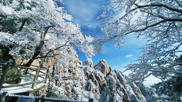 老君山在什么地方，老君山在什么地方是哪个省（老君山云海平均每年多达130天）