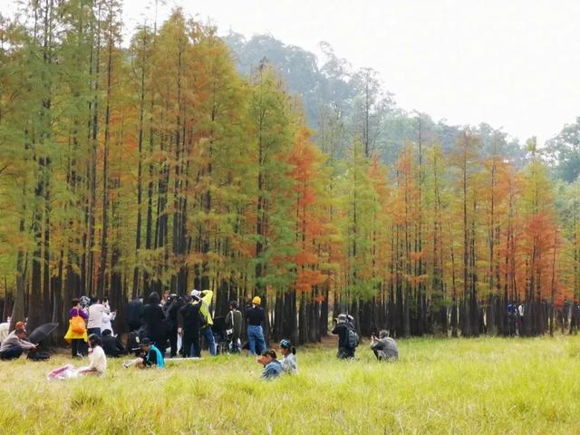 番禺化龙镇景区，快来pick你的“打卡点”吧