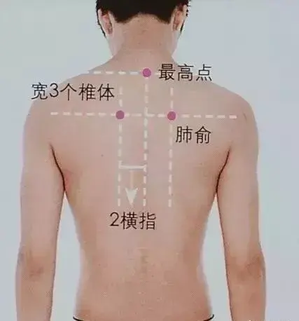 如何清肺养肺护肺，肺不好坚持养肺的三个方法（最全的养肺方法送给你）