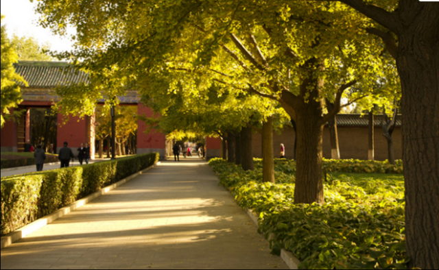 张家口学院最新排名 2021张家口学院排名第688名，张家口学院最新排名（2022冬奥基地——张家口学院）