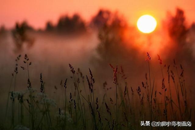 愿伯具言臣之不敢倍德也翻译，愿伯具言,臣之不敢倍德也翻译（120个文言实词汇编：第一辑）