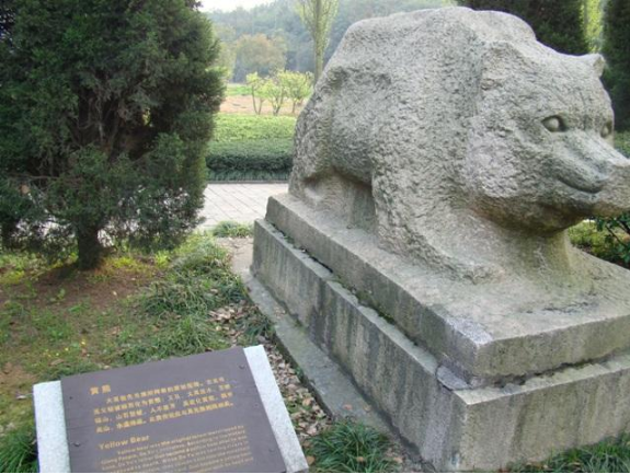 有熊氏的历史传说故事，有熊氏的来历故事（我们还真就是熊的传人）