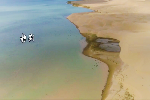 河人是什么，河里的人叫什么（塔里木河人）