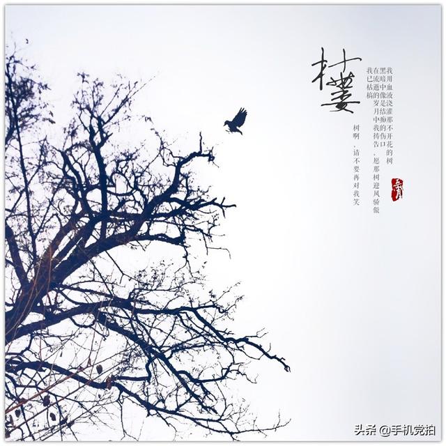 轻烟老树寒鸦什么意思，轻烟老树寒鸦前面一句是什么（不妨跟着“古诗”拍拍看）