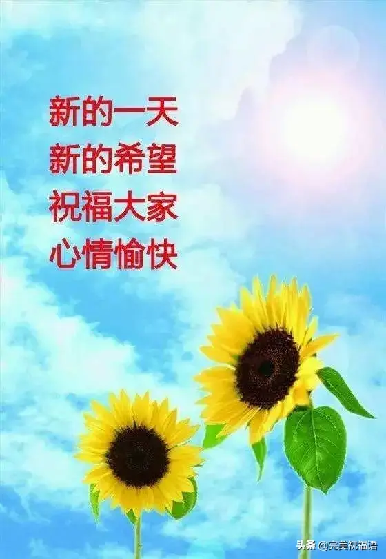 周四早安的温馨祝福语，周日早安温馨祝福语（星期四发朋友圈暖心的祝福句子）