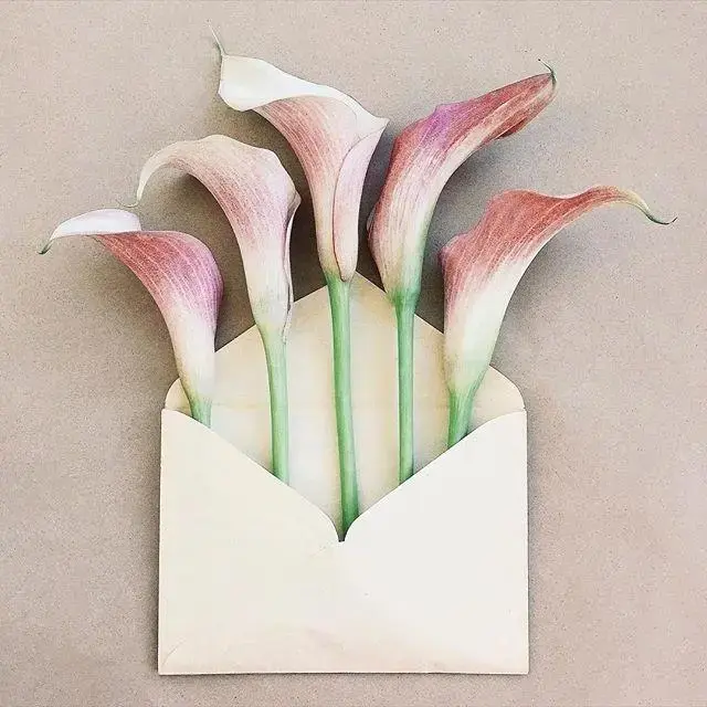 砍价最有用的句子，砍价经典语录（高情商的人发朋友圈的句子）