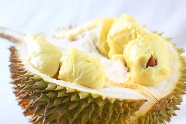 长柄猫山王的介绍，长柄猫山王是什么品种（属榴莲狂热粉的先上车）