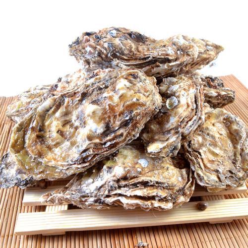 蚱蜢读音,蛤读音,怎么读,什么意思.拼音怎么打(中药材牡蛎)