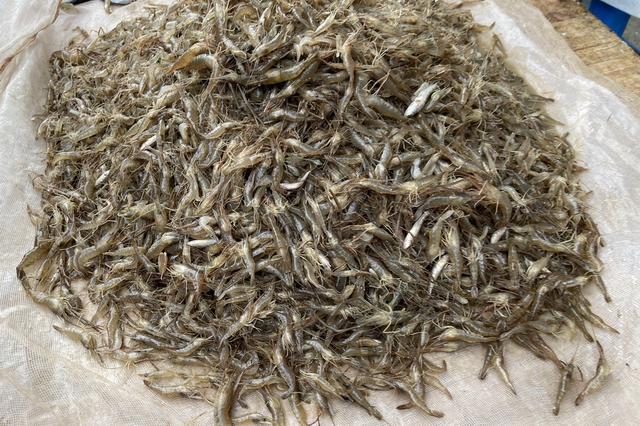 辽宁最穷十大城市排名，辽宁最穷的五个市（本溪、铁岭、阜新谁能在2019翻盘呢）