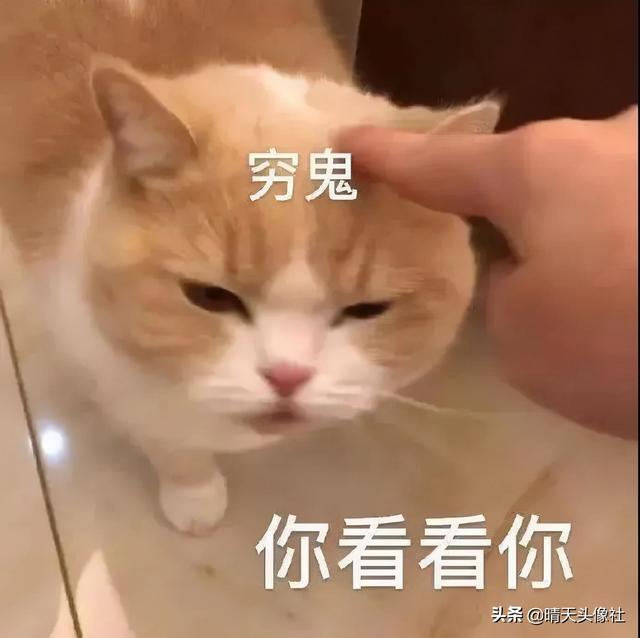表情包啊啊啊，微信头像，表情包啊啊啊（表情包 ， 女孩就要酷一点）