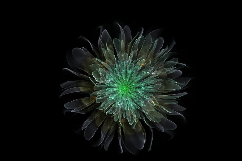 分形艺术照的特点，艺术照分什么风格（分形艺术插图，美！）