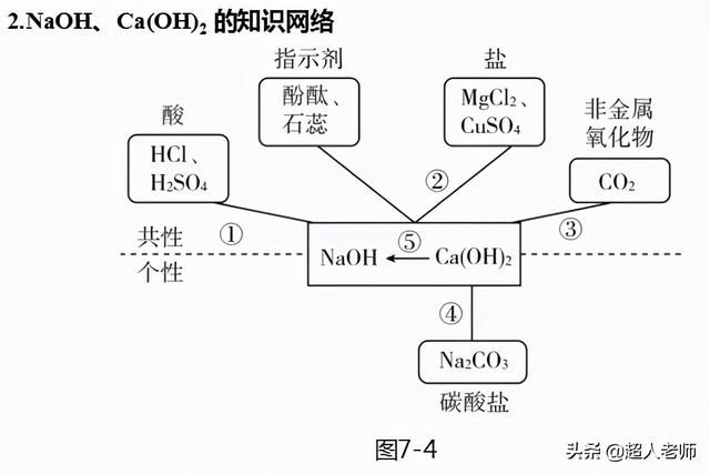 自制酸碱指示剂，自制酸碱指示剂实验家里（2021年中考化学二轮复习第7讲-常见的酸和碱、中和反应及溶液的pH）