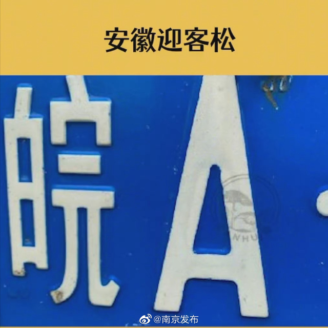 车牌号识别省份，不同省份车牌如何区分（快来看看你所在省份是什么样的）