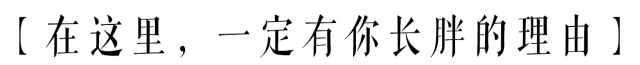 民政学院好吗，民政学院本科专业（民政学院：在大长沙）