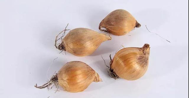 鸢尾花的寓意是什么，鸢尾花是什么含义（全球70000多个品种的这类植物原来都叫鸢尾）