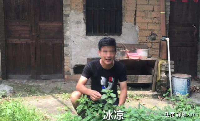 绍兴山上一种野草夏天用来泡茶喝，夏天采摘来泡水冰凉解暑又解渴