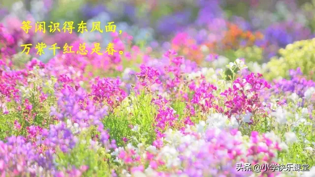 迷醉的意思，心醉神迷的醉什么意思（小学部编版语文二年级下册图文讲解+同步练习）