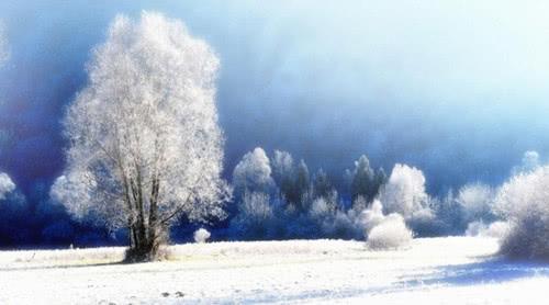 描写冬天的好句，描写冬天的好句好段10句（精选关于冬天的成语、句子、诗句大全）