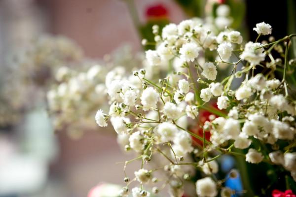 满天星是什么意思，满天星有什么意思（满天星适合送什么人）