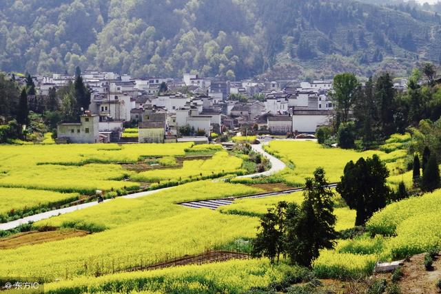 古诗七十五首大全，七十五首古诗分类整理（最美的75首古诗）