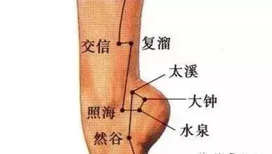 怎么找足三里准确位置图，如何找足三里的准确位置图（气血双补的穴位和方法）