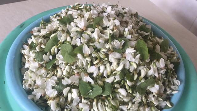 槐花怎么做好吃，洋槐花怎么做好吃（怎能再错过槐花）