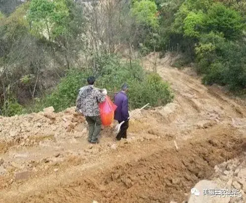 迁坟有什么讲究，迁坟注意事项及八大讲究（老一辈经常说的讲究）