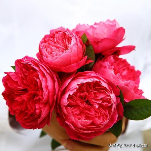 什么的电线填词语，什么的电线填空（类文阅读理解专项—4  田家四季歌《四季的花》《四季》有答案）