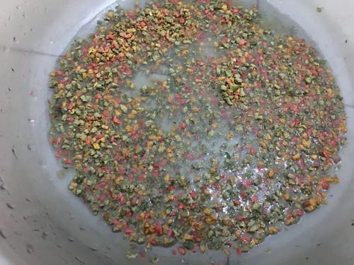 螺鲤2号野钓和什么搭配，螺鲤2号夏天用效果好吗（老钓友分享螺鲤使用方法）
