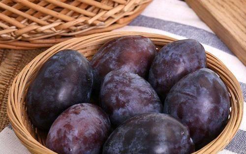 西梅是李子的一个品种吗，西梅和李子是一个品种吗（李子跟西梅有什么区别）