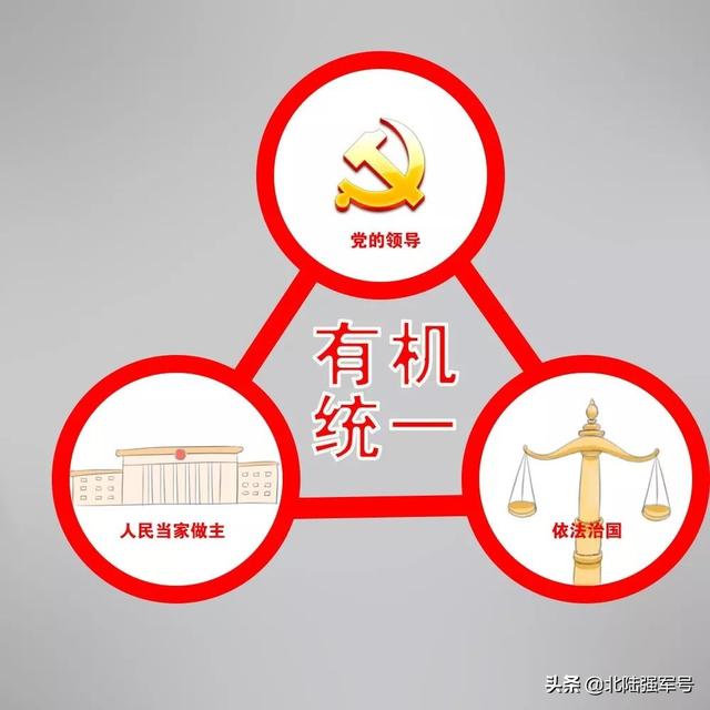 关于爱国资料大全，视点 ， 什么是爱国