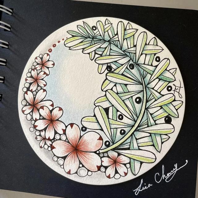 用圆规画出的精美图案，怎样用圆规画好看的图案（画出简单有创意的装饰禅绕画）