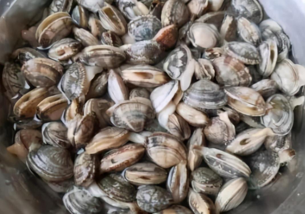 花甲吐沙要多长时间，花甲吐沙多长时间最好（20分钟吐干净）