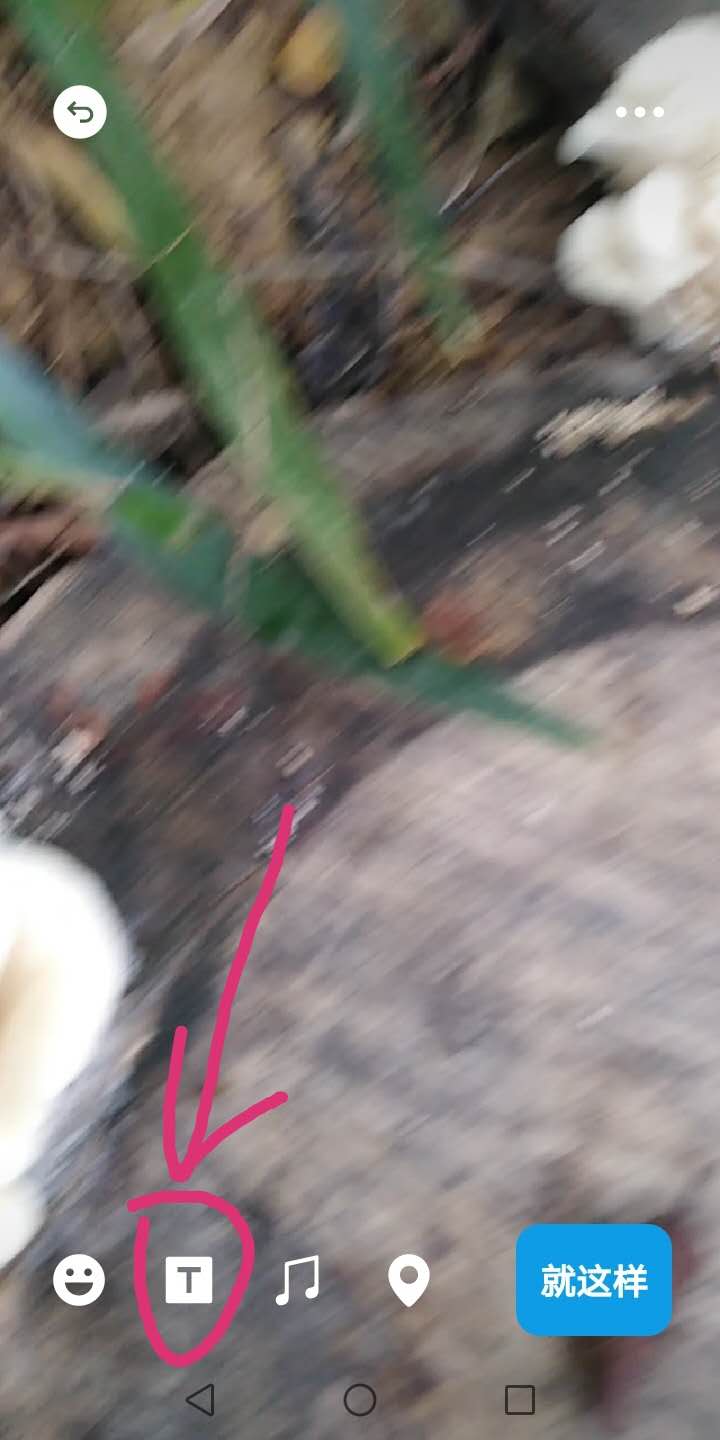 朋友圈怎么发音乐(微信朋友圈音乐怎么加)