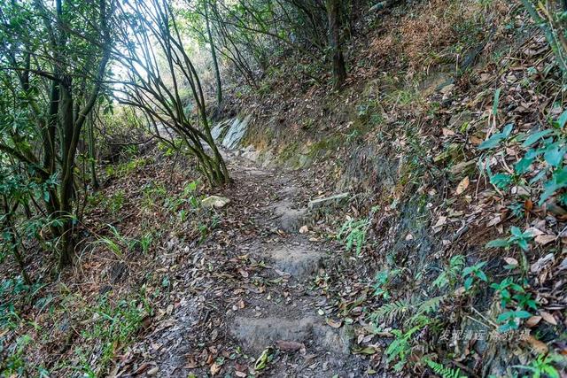 大罗山在什么位置，真无愧于清城最美山峰的称号